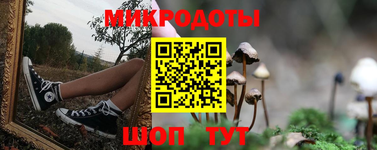 Галлюциногенные грибы мицелий Алейск