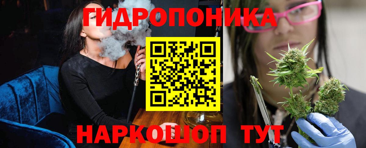 Бошки Шишки White Widow  Канабис план  Шишки марихуана White Widow  Алейск  Вход с VPN 